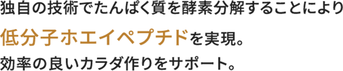 独自の技術でたんぱく質を酵素分解することにより低分子ホエイペプチドを実現。​効率の良いカラダ作りをサポート。​