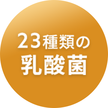 23種類の乳酸菌