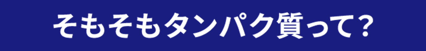 そもそもタンパク質って？